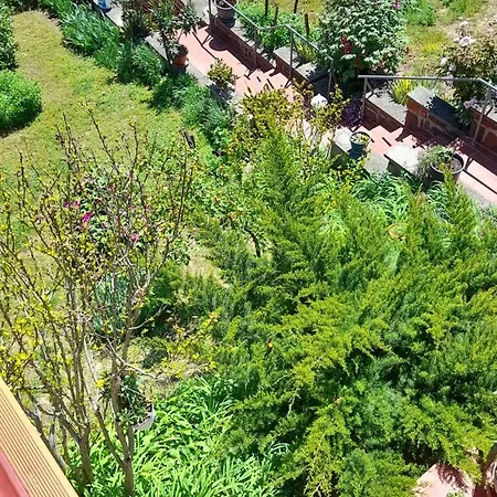 Anna Badacsony Apartamento *